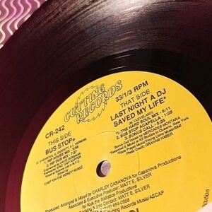 CLUB IDOL-Last Night a DJ saved my life (12" House Mix )